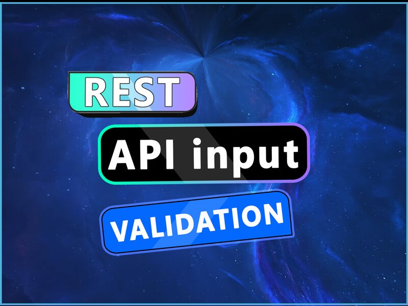 Rest API input validation in nodejs